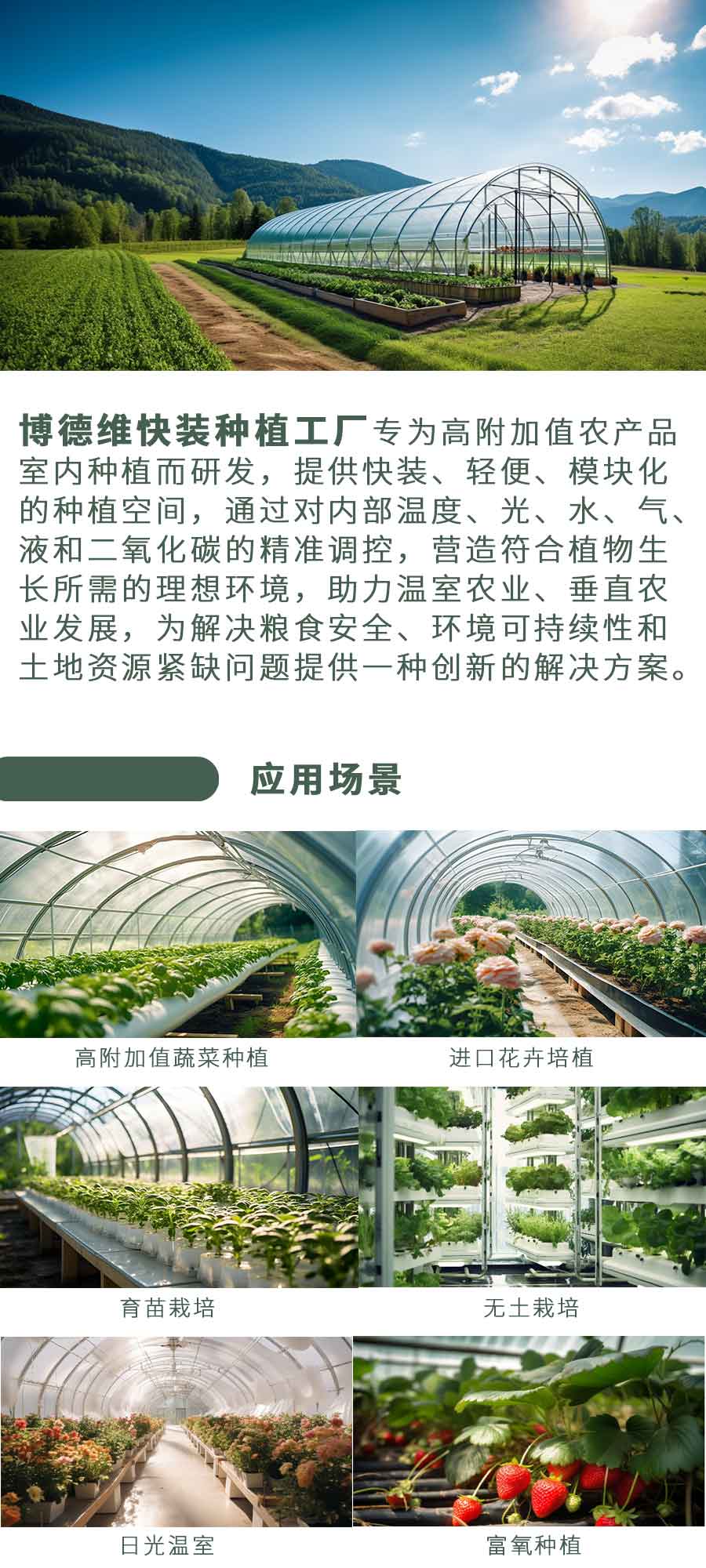 球盟会快装种植工厂 