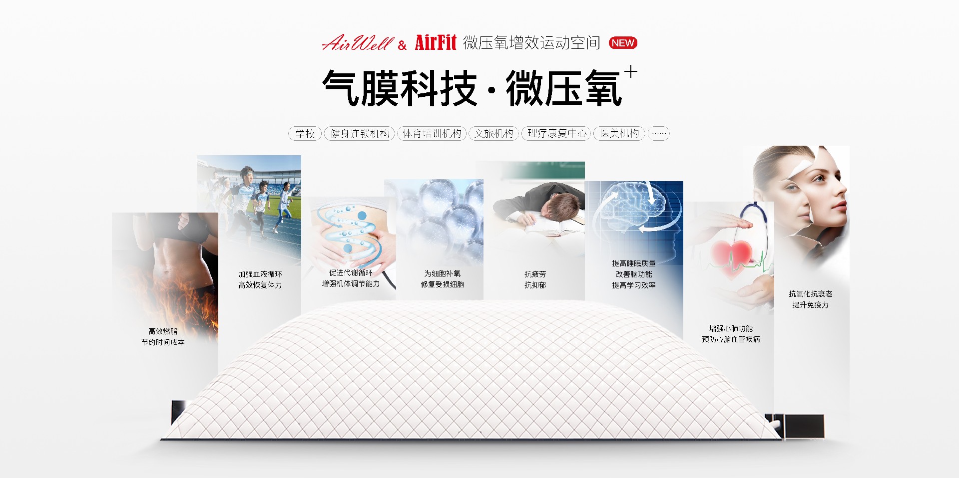 1722235763760279.jpg 官网banner(5).jpg